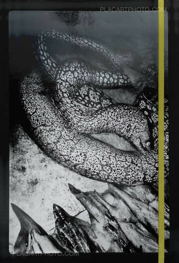 Anders Petersen,NAPOLI  Anders Petersen,NAPOLI