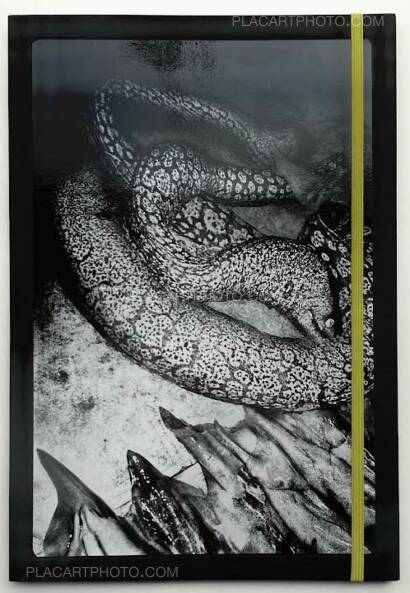 Anders Petersen,NAPOLI  Anders Petersen,NAPOLI