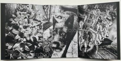 Anders Petersen,NAPOLI  Anders Petersen,NAPOLI