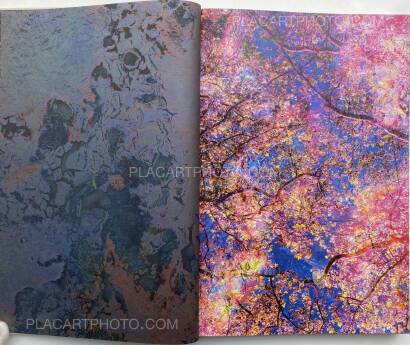 Maya Rochat,Poetry of The Earth Maya Rochat,Poetry of The Earth