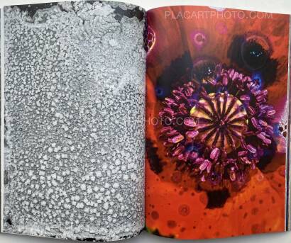 Maya Rochat,Poetry of The Earth Maya Rochat,Poetry of The Earth