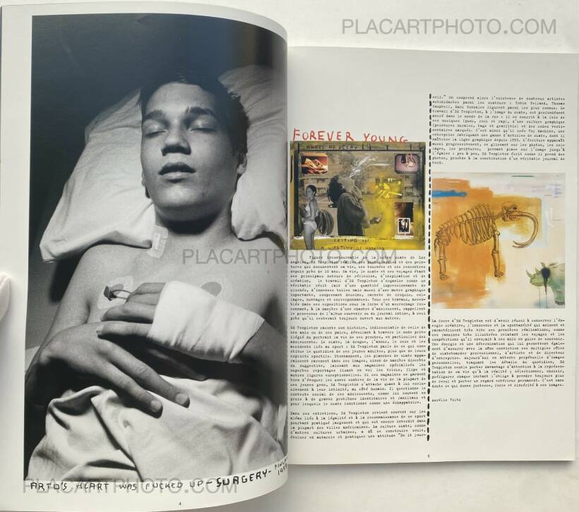 Ed Templeton: The Golden Age of Neglect, Drago Arts