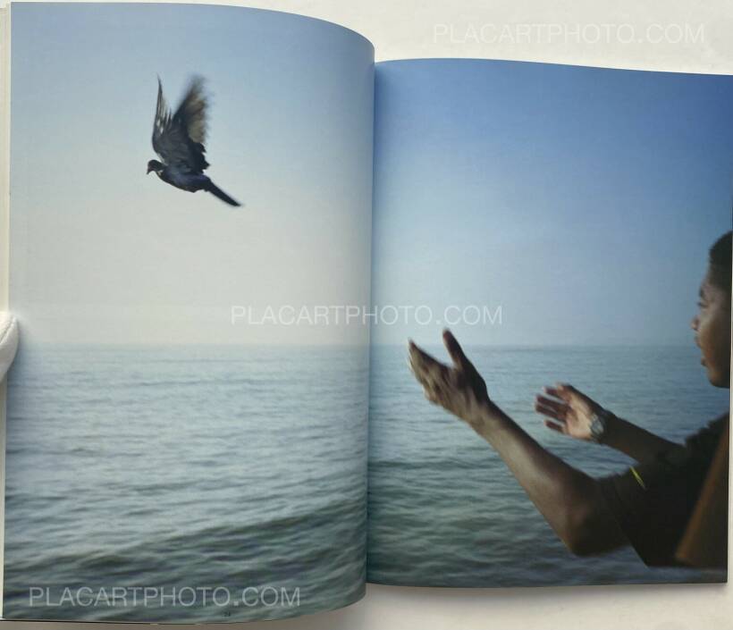 Ed Templeton: The Golden Age of Neglect, Drago Arts