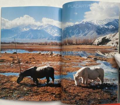 Meisa Fujishiro ,Ride Ride Ride  Meisa Fujishiro ,Ride Ride Ride