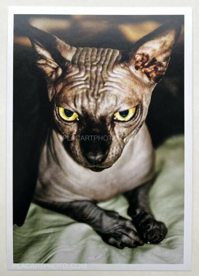 Collective,Cœur en chasse (Signed) Collective,Cœur en chasse (Signed)