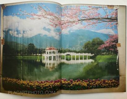 Christoph Bangert ,hello camel (SIGNED)  Christoph Bangert ,hello camel (SIGNED)