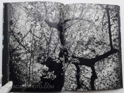Daido Moriyama,Ango (SIGNED) Daido Moriyama,Ango (SIGNED)