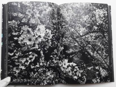Daido Moriyama,Ango (SIGNED) Daido Moriyama,Ango (SIGNED)