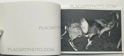 Calin Kruse,Marble (Edt of 40) Calin Kruse,Marble (Edt of 40)