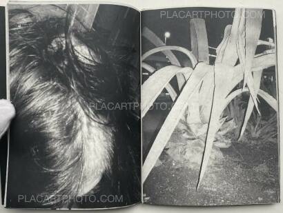 Collective,ARALIK Collective,ARALIK