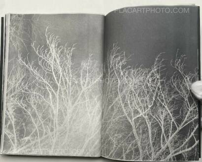 Collective,ARALIK Collective,ARALIK