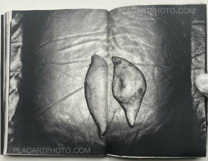 Collective,ARALIK Collective,ARALIK