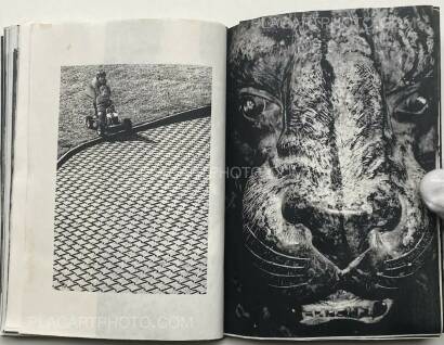 Collective,ARALIK Collective,ARALIK