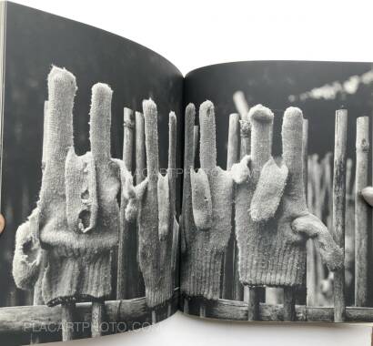 Tsuguhi Shinkawa,Shinkawa Tsuguhi Shashinshu Tsuguhi Shinkawa,Shinkawa Tsuguhi Shashinshu