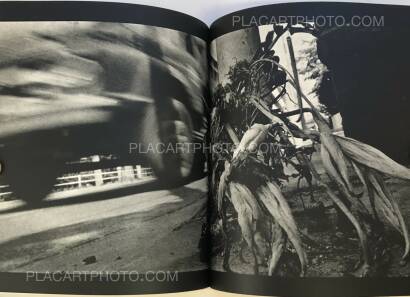 Tsuguhi Shinkawa,Shinkawa Tsuguhi Shashinshu Tsuguhi Shinkawa,Shinkawa Tsuguhi Shashinshu