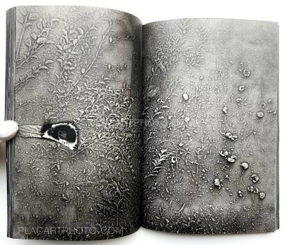 Daisuke Yokota,Untitled (Signed) Daisuke Yokota,Untitled (Signed)
