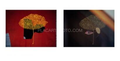 Shoji Ueda,Illusion (UNOPENED) Shoji Ueda,Illusion (UNOPENED)