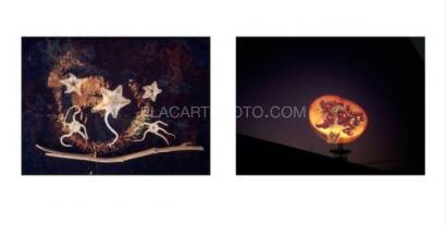 Shoji Ueda,Illusion (UNOPENED) Shoji Ueda,Illusion (UNOPENED)