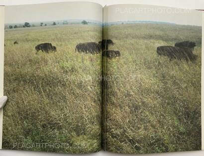 Cuny Janssen,My Grandma Was A Turtle Cuny Janssen,My Grandma Was A Turtle