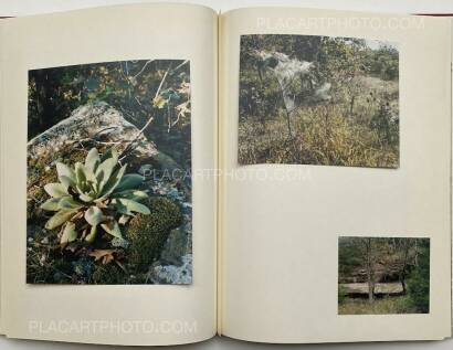 Cuny Janssen,My Grandma Was A Turtle Cuny Janssen,My Grandma Was A Turtle