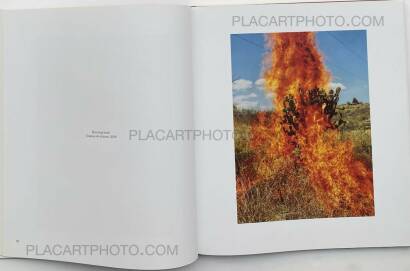 Pieter Hugo,La Cucaracha Pieter Hugo,La Cucaracha