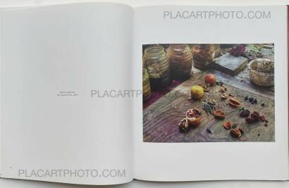 Pieter Hugo,La Cucaracha Pieter Hugo,La Cucaracha