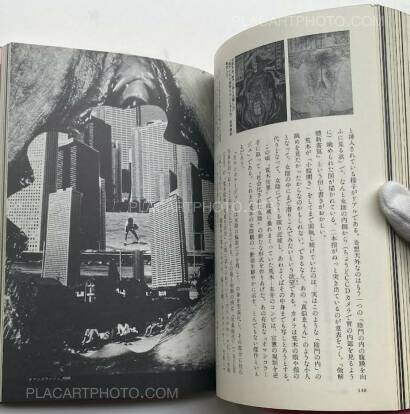 Nobuyoshi Araki,Araki! Nobuyoshi Araki,Araki!