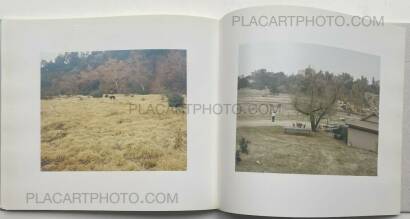 Karin Apollonia Müller,Angels in Fall  Karin Apollonia Müller,Angels in Fall