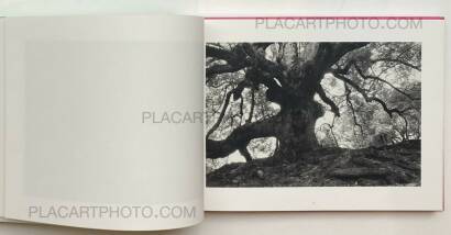 Lee Friedlander,Cherry Blossom Time in Japan Lee Friedlander,Cherry Blossom Time in Japan