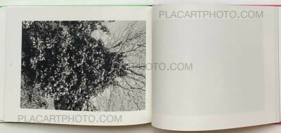 Lee Friedlander,Cherry Blossom Time in Japan Lee Friedlander,Cherry Blossom Time in Japan