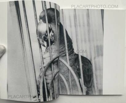 Koji Onaka,EXTRA HARD Koji Onaka,EXTRA HARD