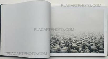 Tamas Dezso,Notes for an Epilogue Tamas Dezso,Notes for an Epilogue