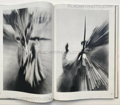 Ikko Narahara,JAPANESQUE Ikko Narahara,JAPANESQUE