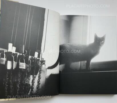 Lorenzo Castore,LAND (SIGNED) Lorenzo Castore,LAND (SIGNED)