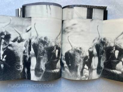 Lorenzo Castore,WALLS (SIGNED EDT OF 125) Lorenzo Castore,WALLS (SIGNED EDT OF 125)