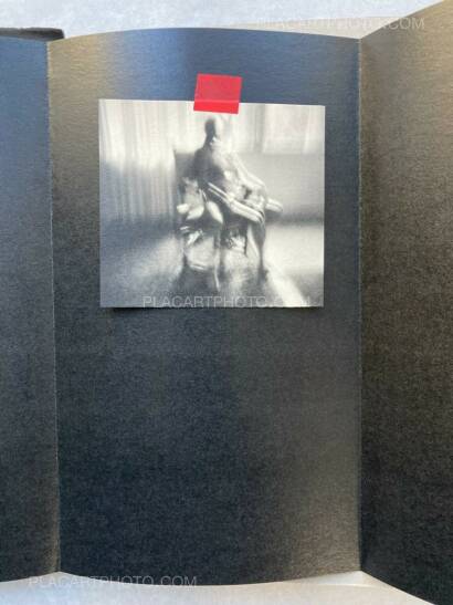 Lorenzo Castore,WALLS (DELUXE EDT OF 23 COPIES) Lorenzo Castore,WALLS (DELUXE EDT OF 23 COPIES)