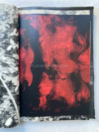 Lorenzo Castore,WALLS (DELUXE EDT OF 23 COPIES) Lorenzo Castore,WALLS (DELUXE EDT OF 23 COPIES)