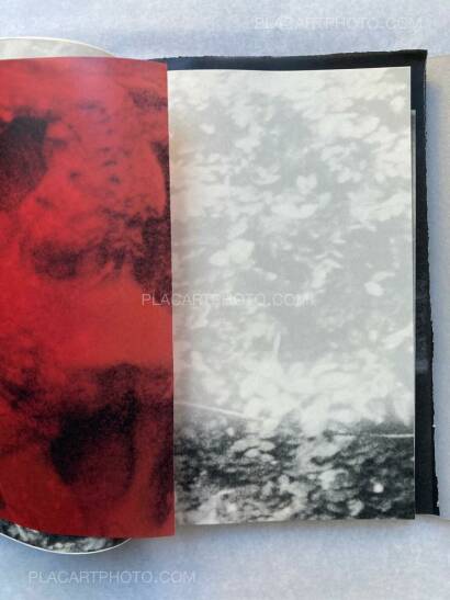 Lorenzo Castore,WALLS (DELUXE EDT OF 23 COPIES) Lorenzo Castore,WALLS (DELUXE EDT OF 23 COPIES)