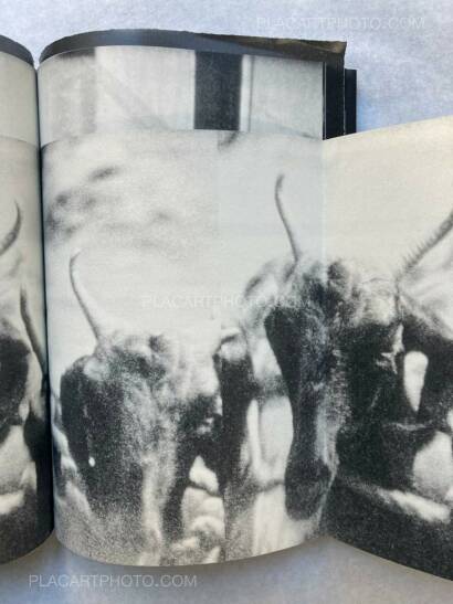 Lorenzo Castore,WALLS (DELUXE EDT OF 23 COPIES) Lorenzo Castore,WALLS (DELUXE EDT OF 23 COPIES)