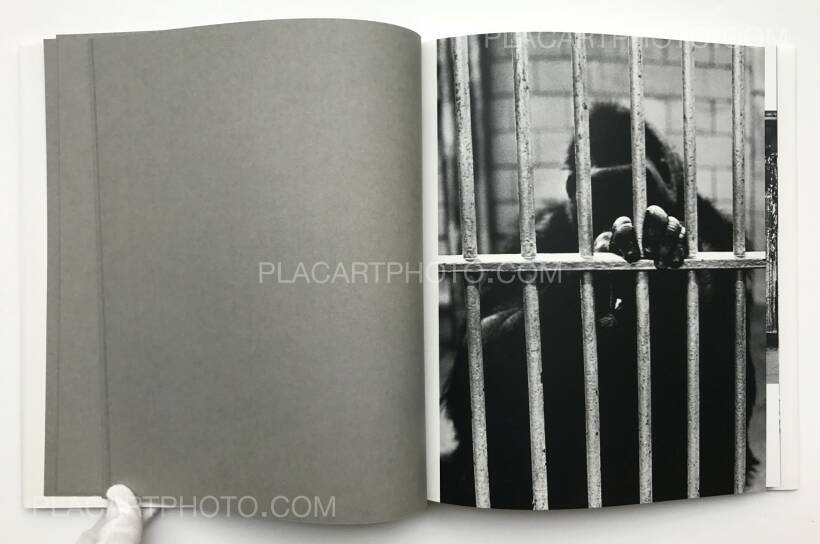 Christer Strömholm: Poste Restante (reprint), The Eyes