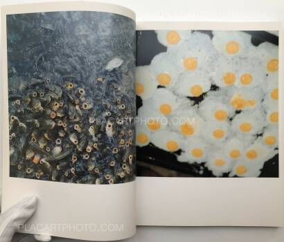 Rinko Kawauchi,Utatane (SIGNED) Rinko Kawauchi,Utatane (SIGNED)