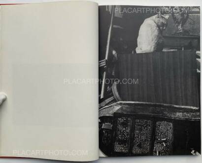 Hana Takeda,Where cats were / Neko no ita basho Hana Takeda,Where cats were / Neko no ita basho