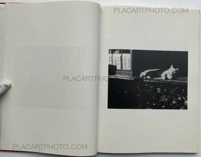 Hana Takeda,Where cats were / Neko no ita basho Hana Takeda,Where cats were / Neko no ita basho