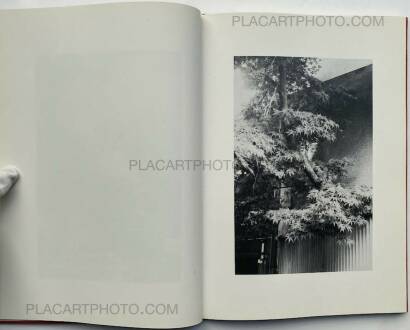 Hana Takeda,Where cats were / Neko no ita basho Hana Takeda,Where cats were / Neko no ita basho