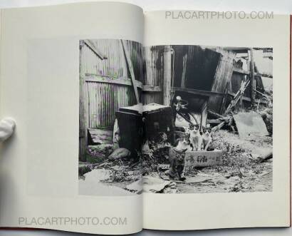 Hana Takeda,Where cats were / Neko no ita basho Hana Takeda,Where cats were / Neko no ita basho