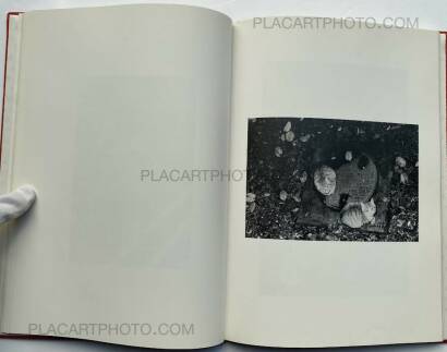 Hana Takeda,Where cats were / Neko no ita basho Hana Takeda,Where cats were / Neko no ita basho