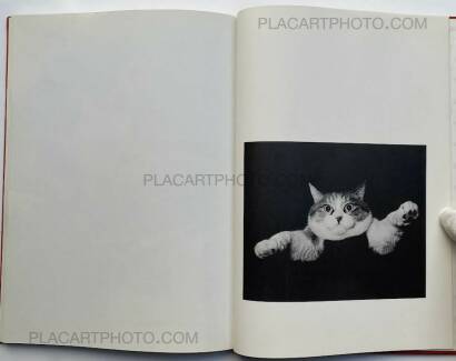 Hana Takeda,Where cats were / Neko no ita basho Hana Takeda,Where cats were / Neko no ita basho