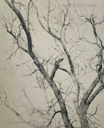 Mitch Epstein,NEW YORK ARBOR Mitch Epstein,NEW YORK ARBOR