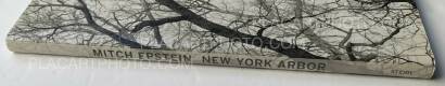 Mitch Epstein,NEW YORK ARBOR Mitch Epstein,NEW YORK ARBOR