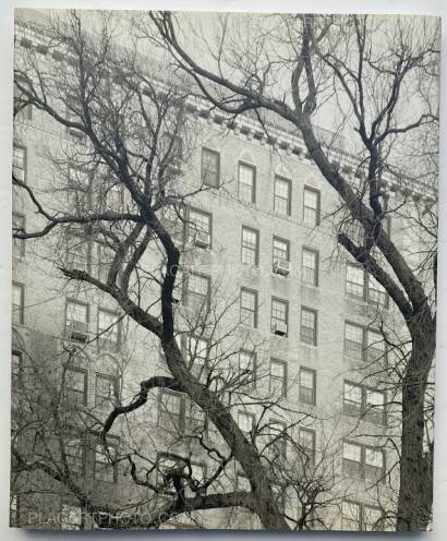 Mitch Epstein,NEW YORK ARBOR Mitch Epstein,NEW YORK ARBOR